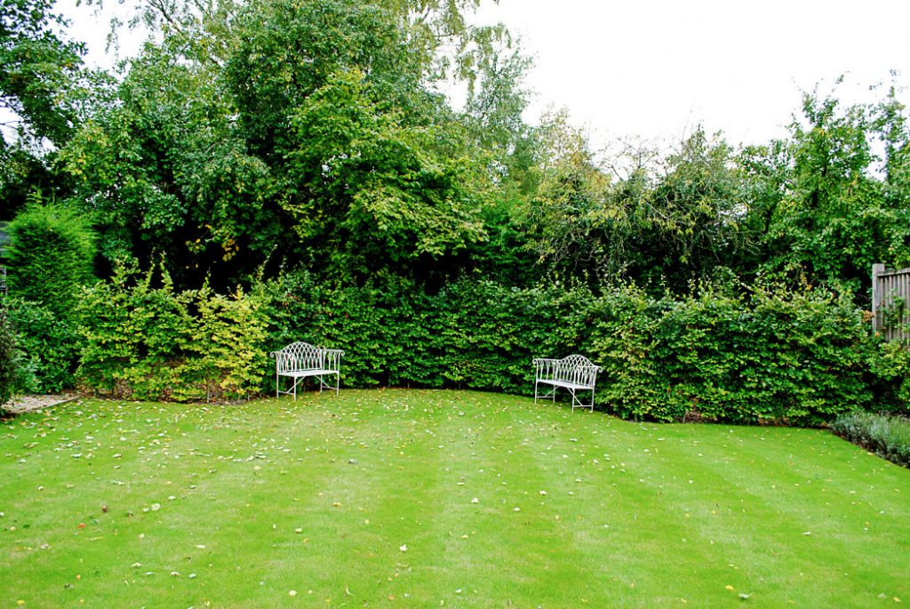 Seating and lawn in Garden design by Babylon Design