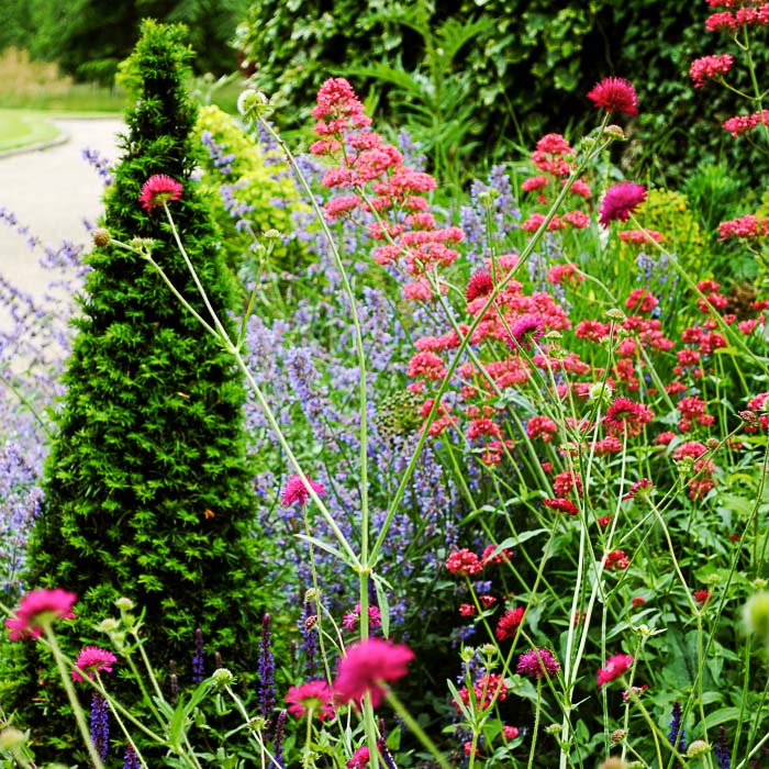 Garden design Oxfordshire