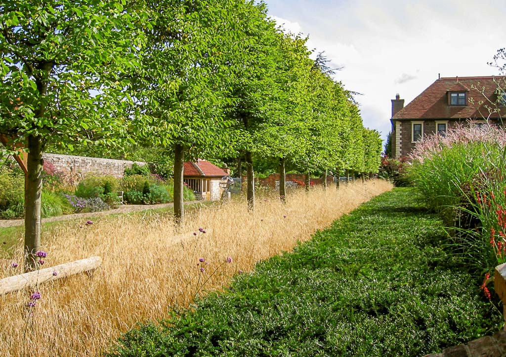 photograph of trees planted by garden maintenance company Babylon Design Watlington Oxfordshire