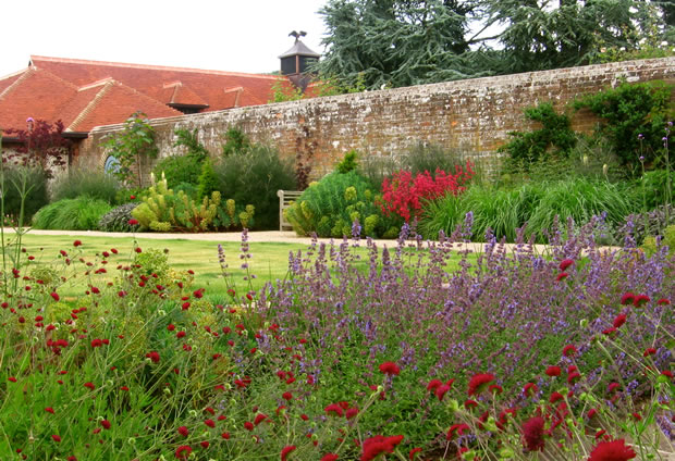 a planting scheme at the manor featuring lavendar