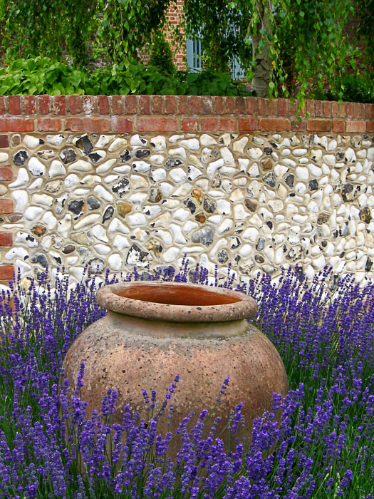 Lavender in Landscaped Garden near Marlow by Babylon design