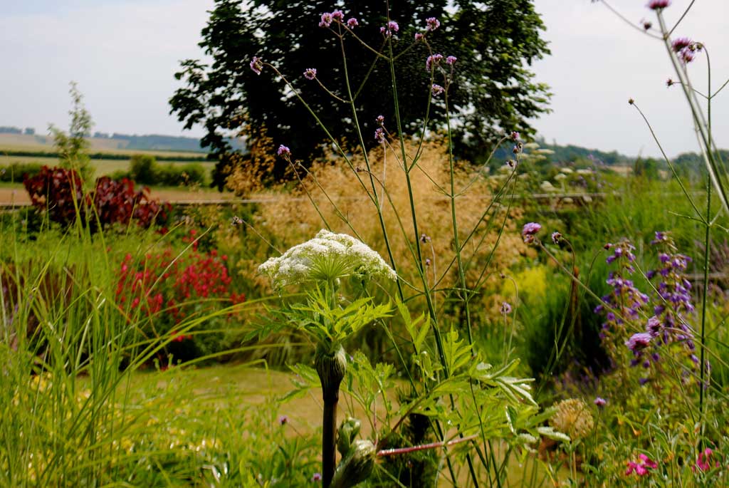 photo of plant borders Gardeners Oxfordshire