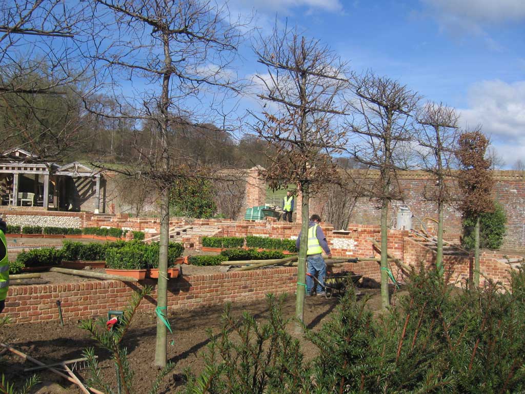 photo of trees being planted by landscapers Oxfordshire