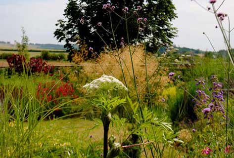 Babylon Design landscape gardeners and garden maintenance Oxfordshire