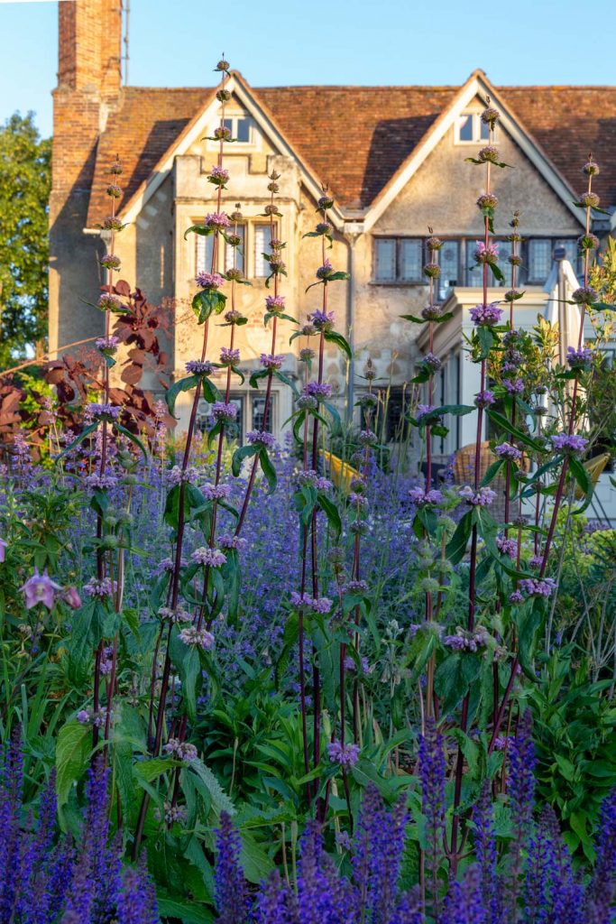 Babylon Gardeners in Watlington Oxfordshire